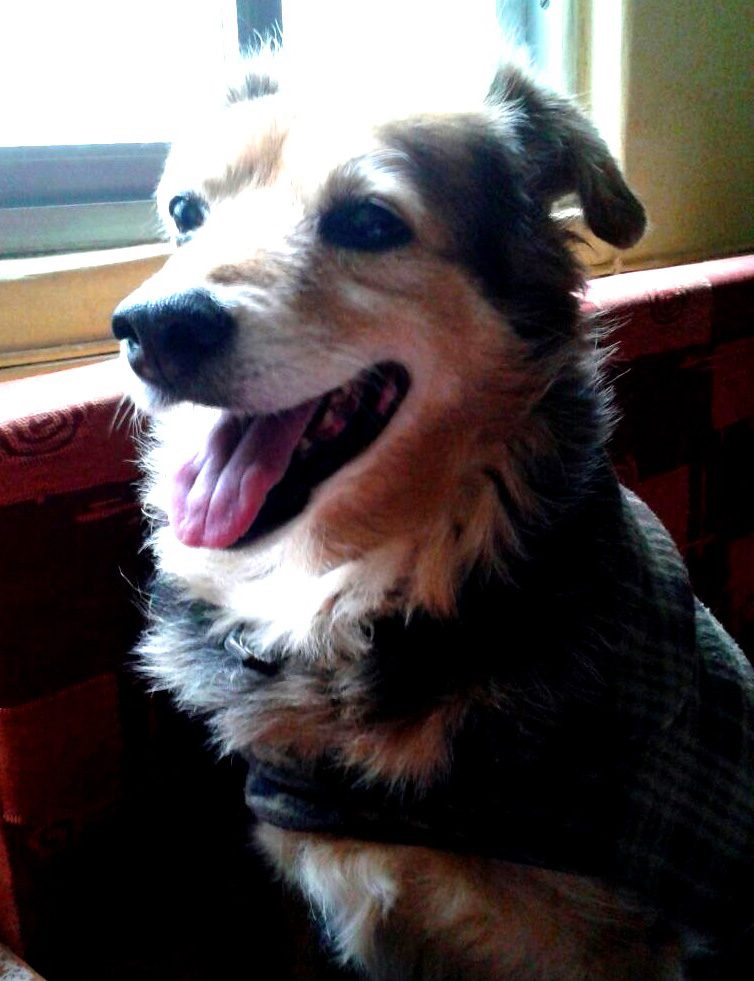 Billy (2)